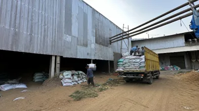 Bulk Sacks Loading
